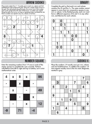 Variety Number Puzzles Magazine Page